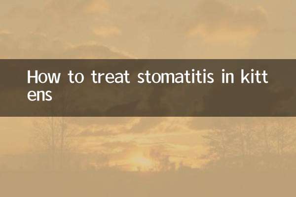 Cómo tratar la estomatitis en gatitos.