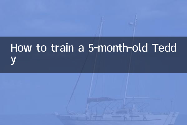 生後5か月のテディのしつけ方