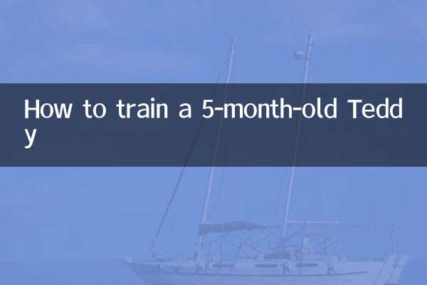 چگونه یک تدی 5 ماهه را تربیت کنیم