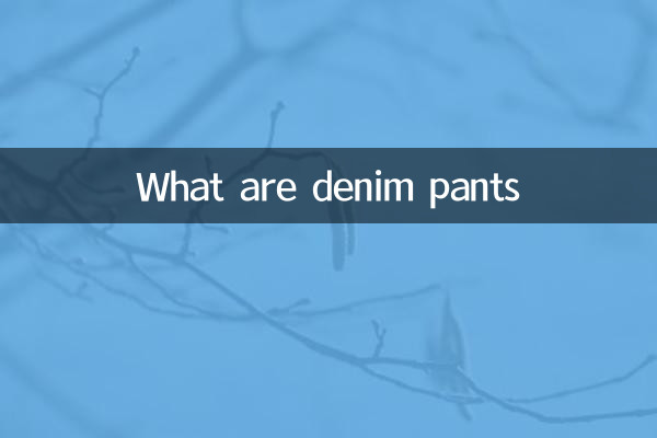 Cosa sono i pantaloni in denim