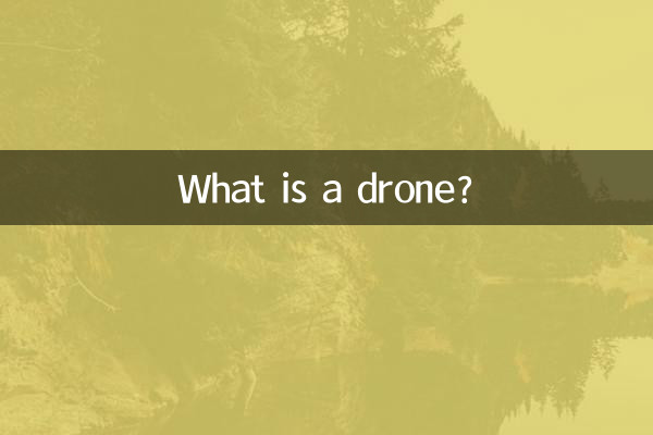 드론이란 무엇입니까?