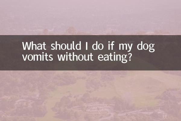 ماذا أفعل إذا تقيأ كلبي دون تناول الطعام؟