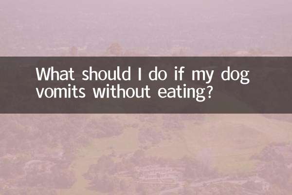 ماذا أفعل إذا تقيأ كلبي دون تناول الطعام؟