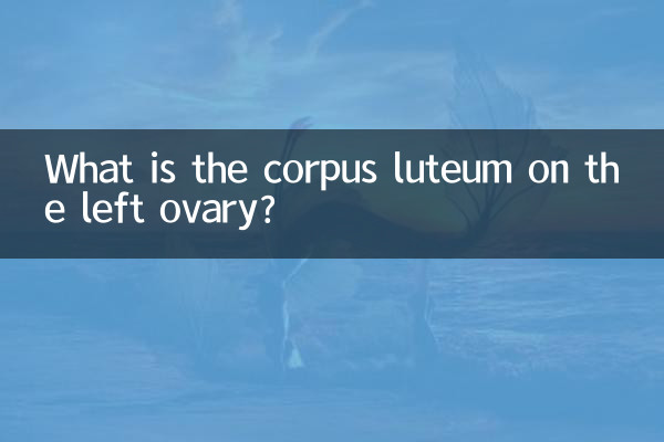왼쪽 난소에 있는 황체란 무엇인가요?