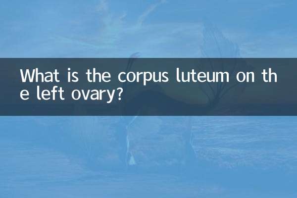 Что такое желтое тело левого яичника?