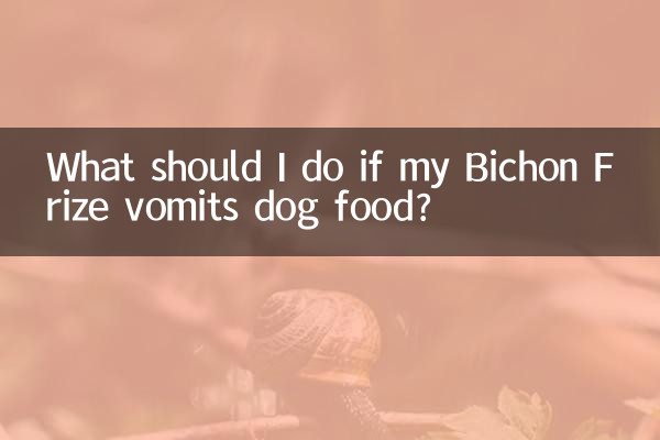 비숑 프리제(Bichon Frize)가 개 사료를 토하면 어떻게 해야 합니까?