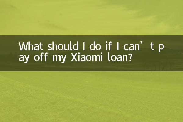 Xiaomi ローンを返済できない場合はどうすればよいですか?