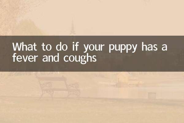 小狗發燒咳嗽怎麼辦