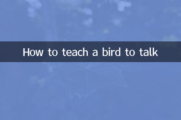 How to teach a bird to talk