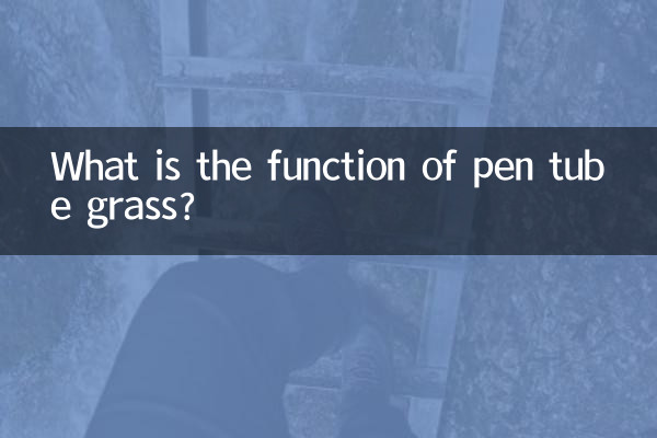 قلم ٹیوب گھاس کا کام کیا ہے؟