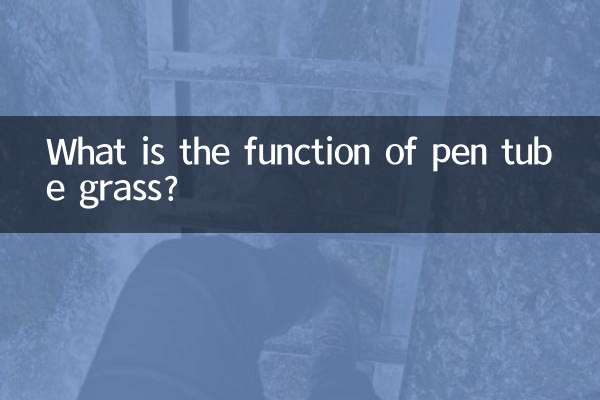قلم ٹیوب گھاس کا کام کیا ہے؟
