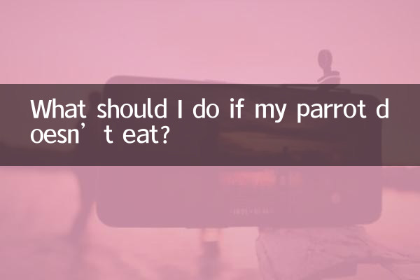 鹦鹉不吃东西怎么办