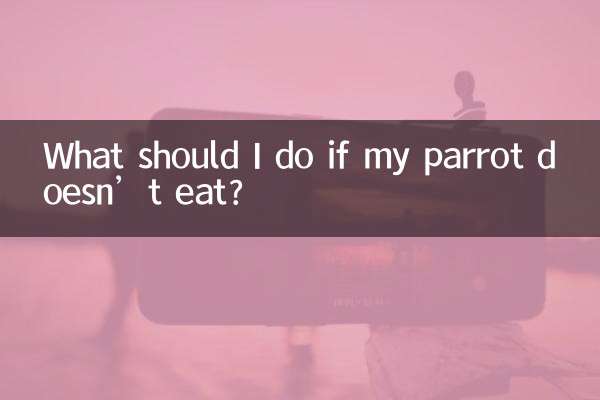 鹦鹉不吃东西怎么办