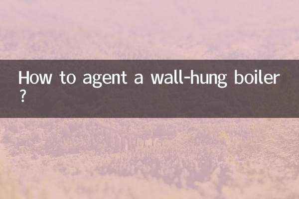 Come revisionare una caldaia murale?