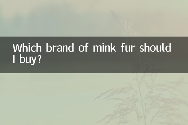 আমি কোন ব্র্যান্ডের মিঙ্ক পশম কিনতে পারি?