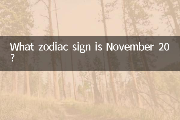 11月20什么星座