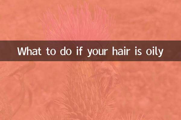 What to do if your hair is oily