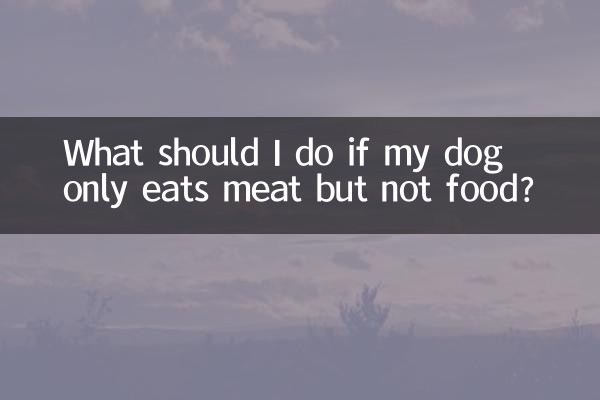 Cosa devo fare se il mio cane mangia solo carne ma non cibo?