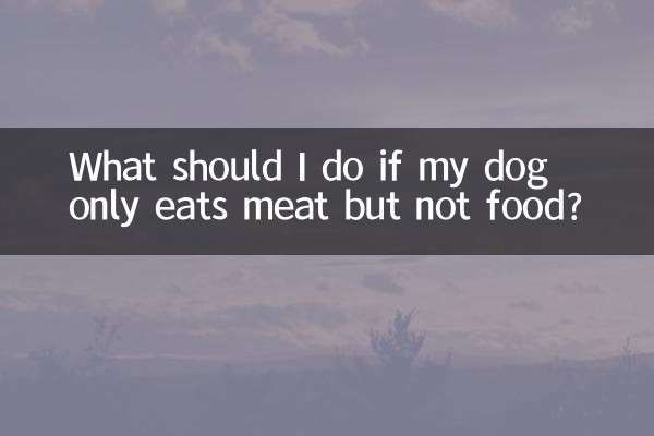 Cosa devo fare se il mio cane mangia solo carne ma non cibo?