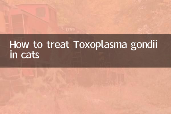 How to treat Toxoplasma gondii in cats