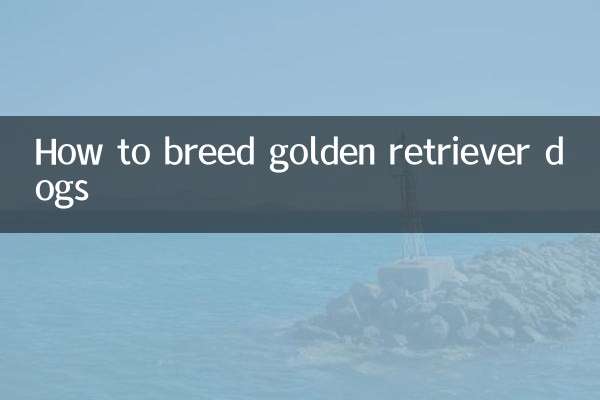 골든 리트리버 강아지를 사육하는 방법