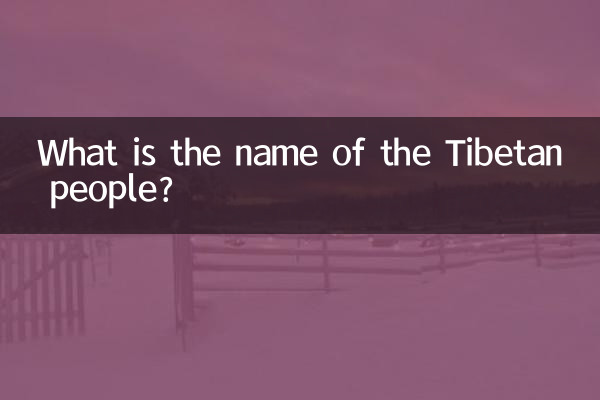 What is the name of the Tibetan people?