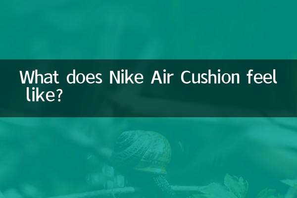 নাইকি এয়ার কুশন কেমন লাগে?