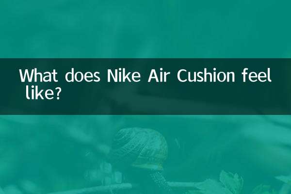 كيف تبدو وسادة Nike الهوائية؟