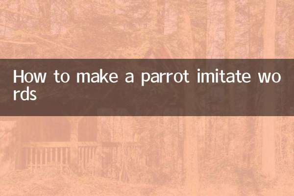 How to make a parrot imitate words