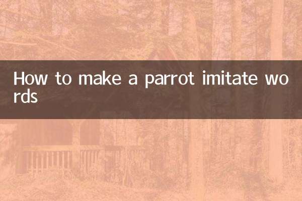 How to make a parrot imitate words
