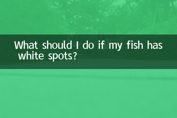 鱼长白点怎么办