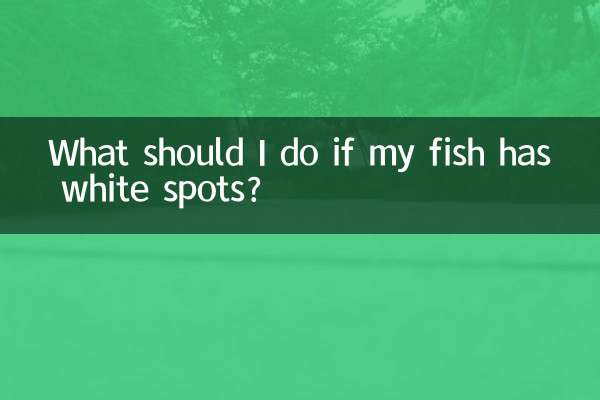 আমার মাছে সাদা দাগ থাকলে আমার কী করা উচিত?