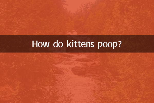 كيف تتبرز القطط؟