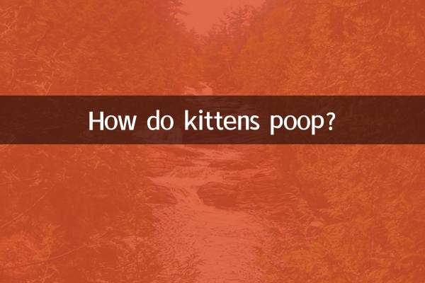 小貓咪怎麼拉屎