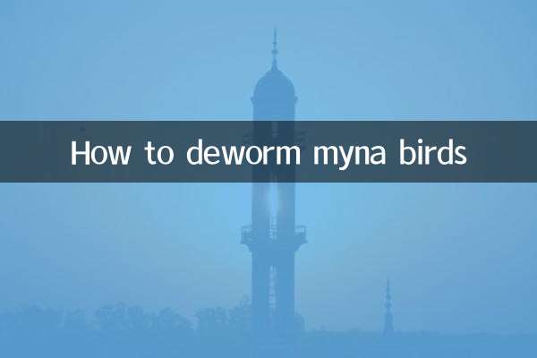 Comment vermifuger les oiseaux myna