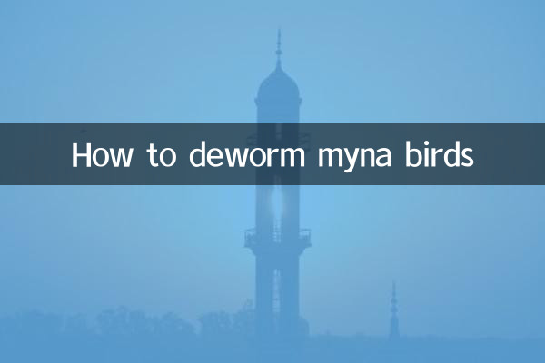 কিভাবে ময়না পাখিকে কৃমিনাশ করা যায়