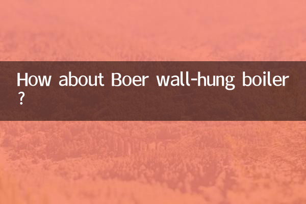 How about Boer wall-hung boiler?