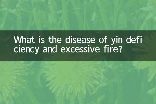 What is the disease of yin deficiency and excessive fire?