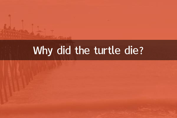 چرا لاک پشت مرد؟