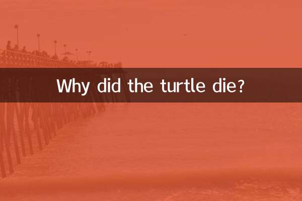Por que a tartaruga morreu?