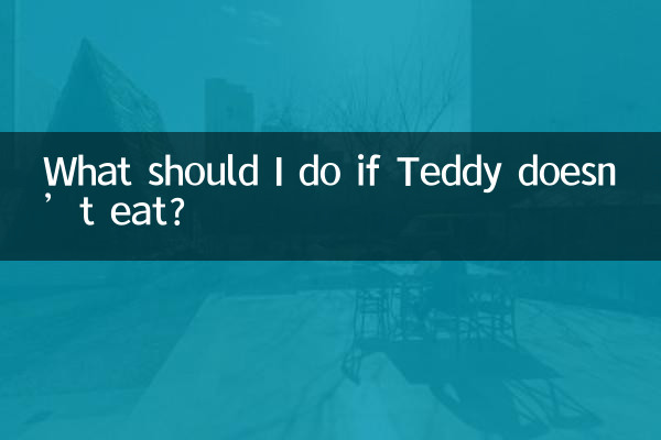 यदि टेडी खाना न खाए तो मुझे क्या करना चाहिए?