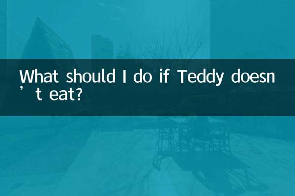 ماذا علي أن أفعل إذا لم يأكل تيدي؟