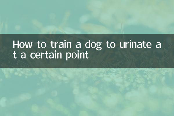 Wie man einem Hund beibringt, an einem bestimmten Punkt zu urinieren