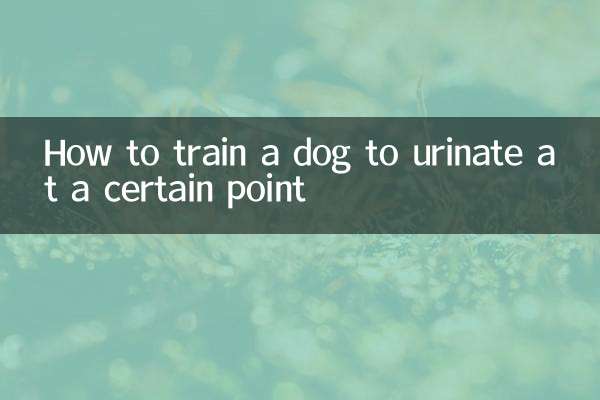 Wie man einem Hund beibringt, an einem bestimmten Punkt zu urinieren