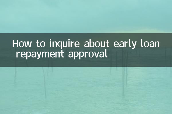 提前还贷审批怎么查询