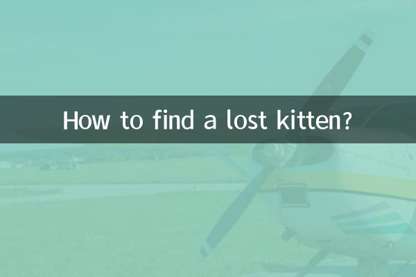 Как найти потерявшегося котенка?