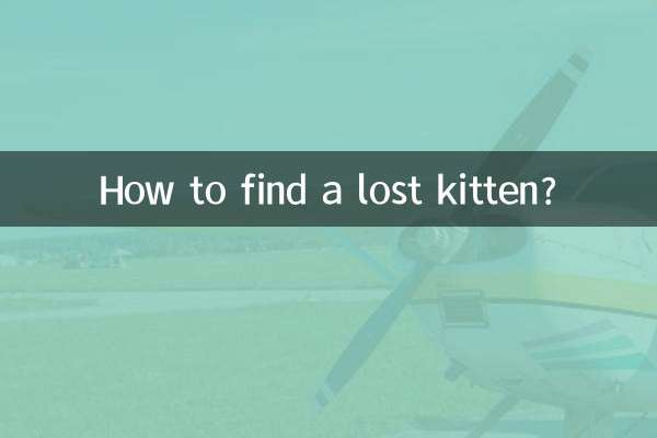 Как найти потерявшегося котенка?