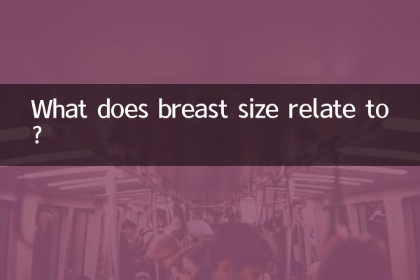 胸の大きさは何と関係があるのでしょうか?