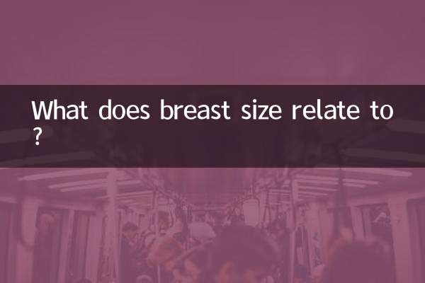 Worauf bezieht sich die Brustgröße?