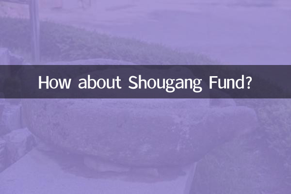 Shougang Fund는 어떻습니까?